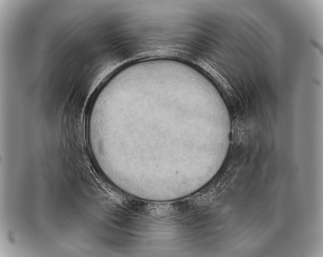 X0000097770886200803281637