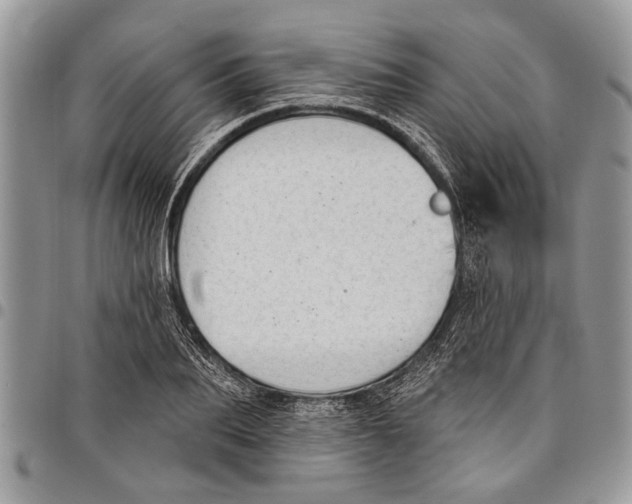 X0000097770887200803281637