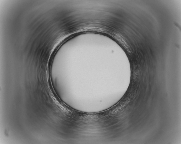 X0000097770888200803281637