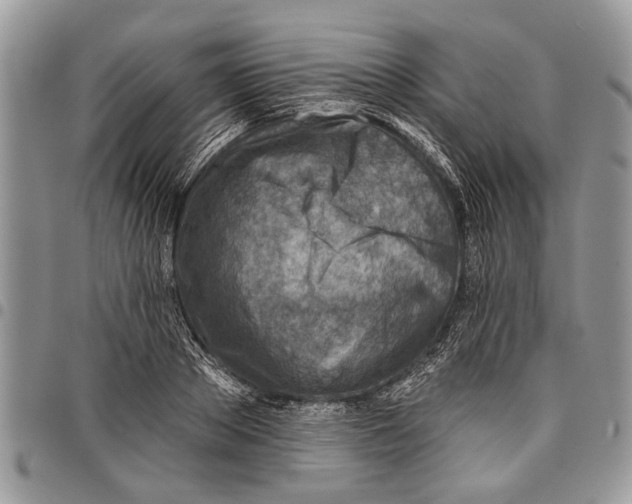 X0000097770889200803281637