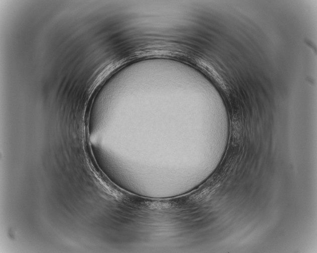 X0000097770890200803281637