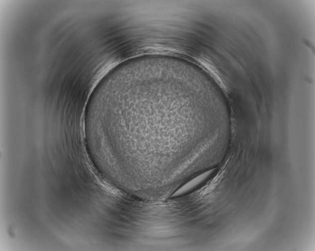 X0000097770891200803281637