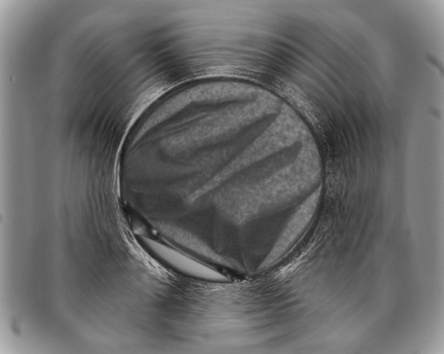 X0000097770892200803281637