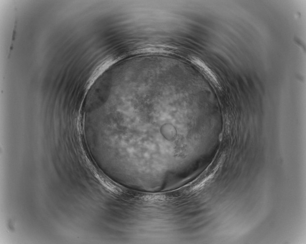 X0000097770893200803281637