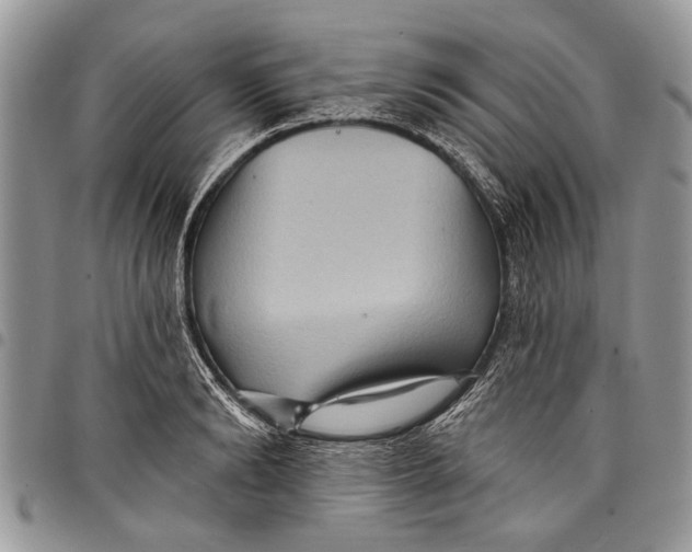 X0000097770894200803281637