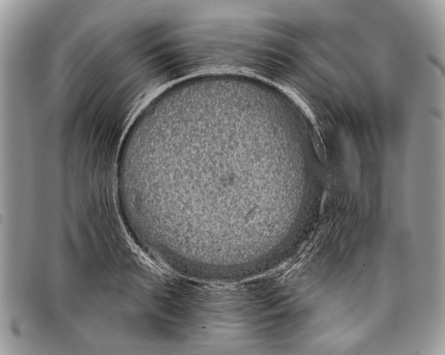 X0000097770895200803281637