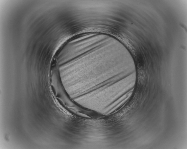 X0000097770896200803281637