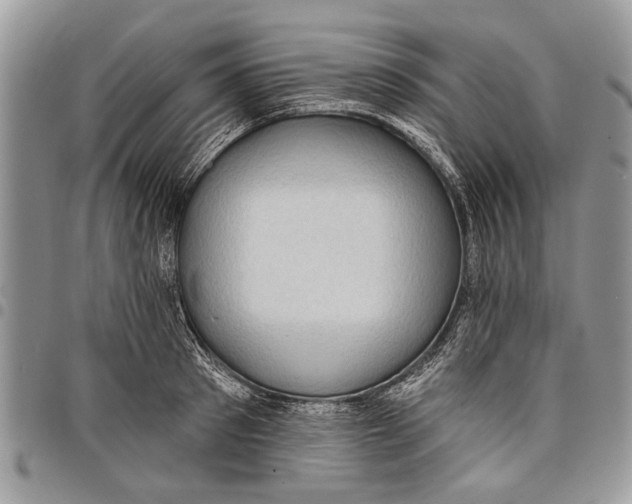 X0000097770897200803281637