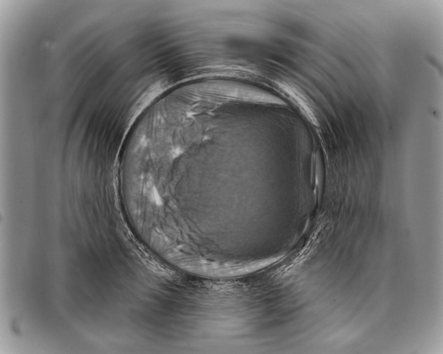 X0000097770899200803281637