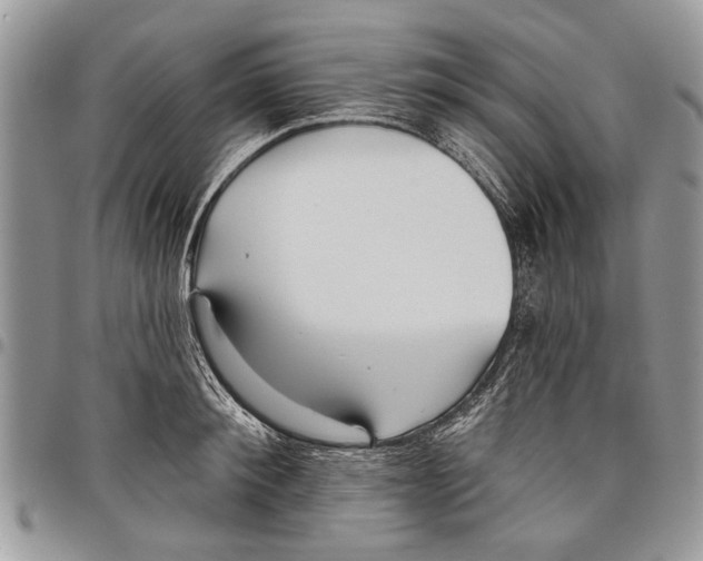 X0000097770900200803281637