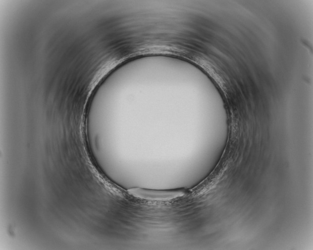 X0000097770901200803281637