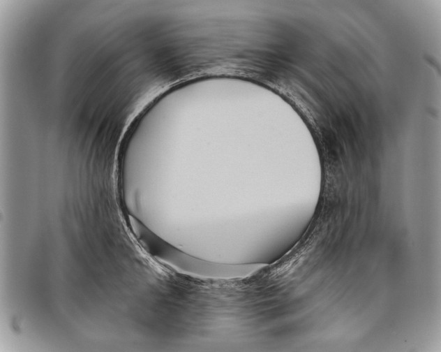 X0000097770902200803281637