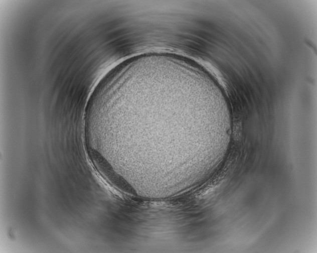 X0000097770903200803281637