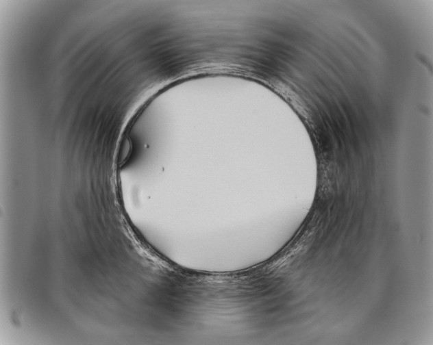 X0000097770904200803281637