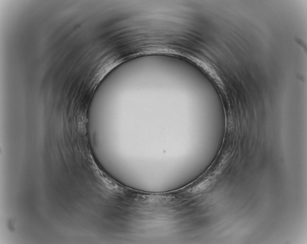 X0000097770905200803281637