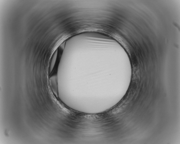 X0000097770906200803281637