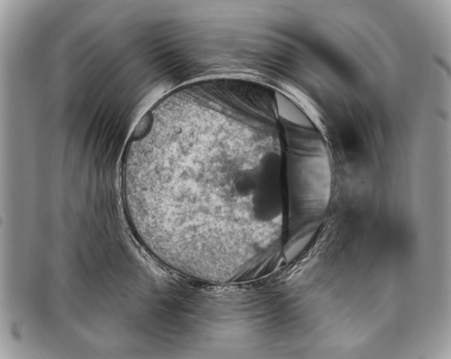 X0000097770907200803281637