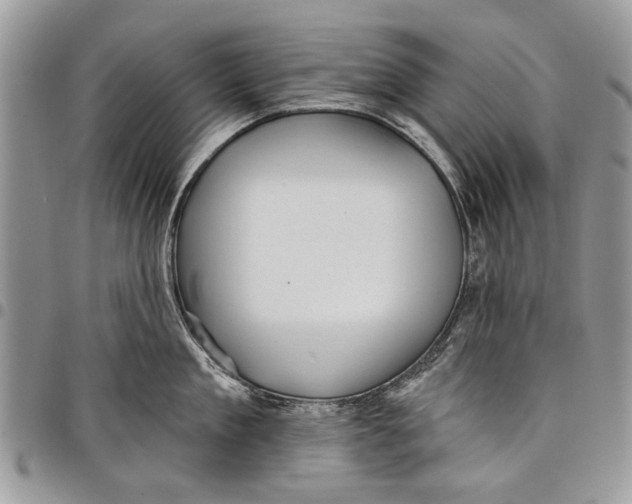 X0000097770909200803281637