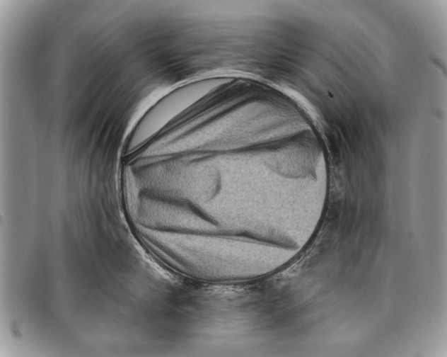 X0000097770910200803281637