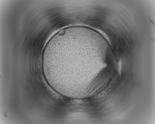 X0000097770911200803281637