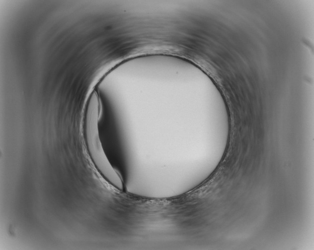 X0000097770912200803281637