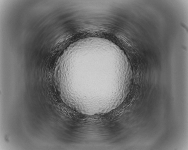 X0000097770917200803281637