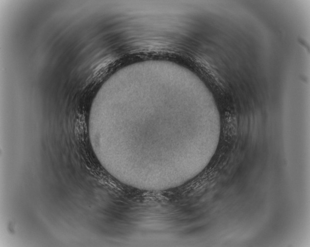 X0000097770918200803281637