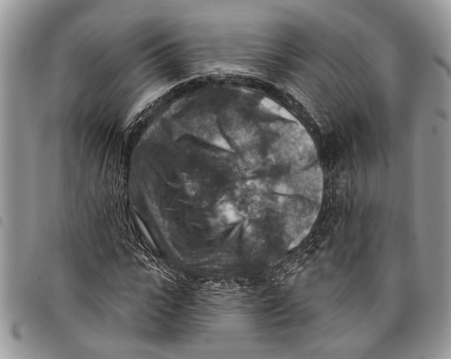 X0000097770919200803281637