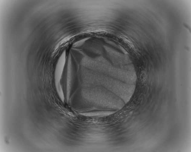 X0000097770920200803281637