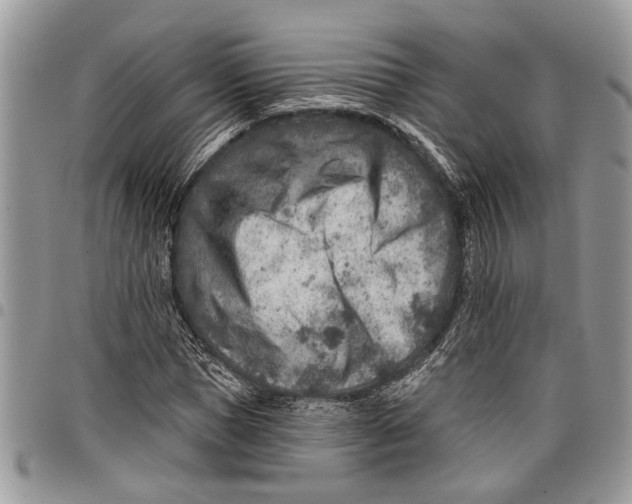 X0000097770921200803281637