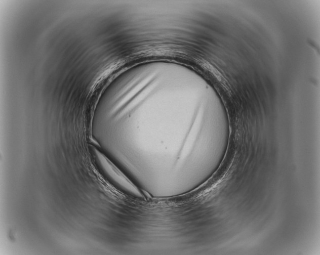 X0000097770922200803281637