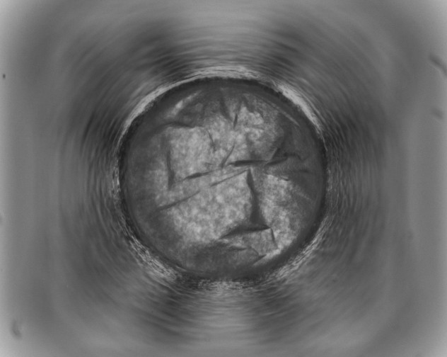 X0000097770923200803281637