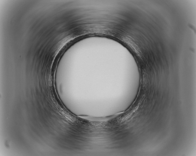 X0000097770924200803281637