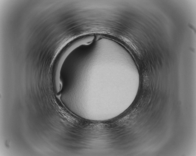 X0000097770926200803281637