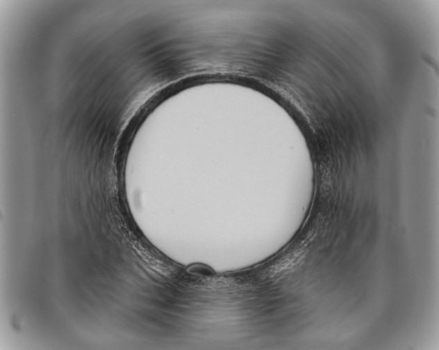 X0000097770927200803281637