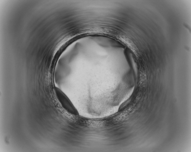 X0000097770928200803281637