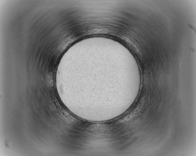 X0000097770929200803281637