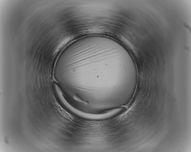 X0000097770930200803281637