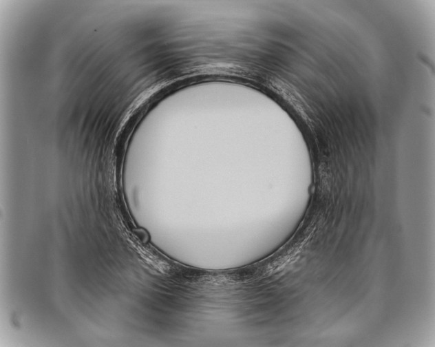 X0000097770931200803281637