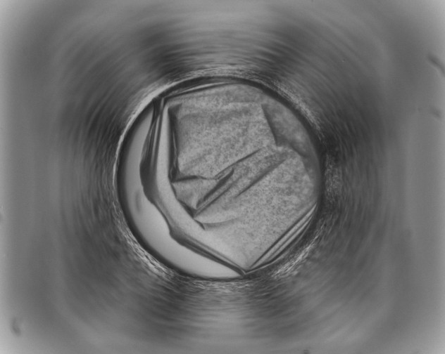 X0000097770932200803281637