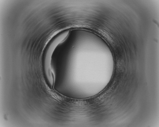 X0000097770934200803281637