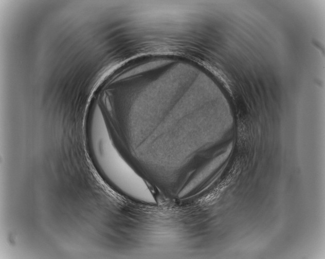 X0000097770935200803281637