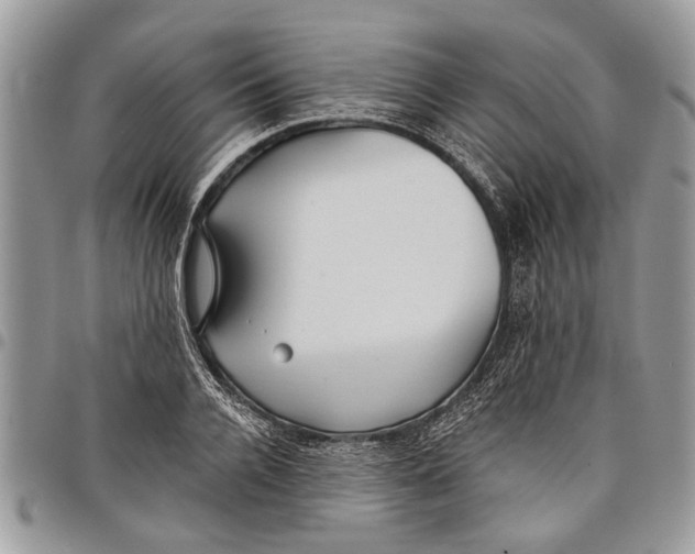 X0000097770936200803281637