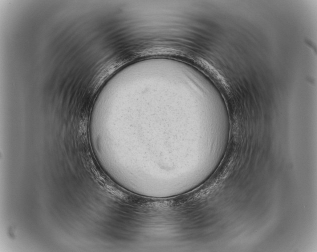 X0000097770937200803281637