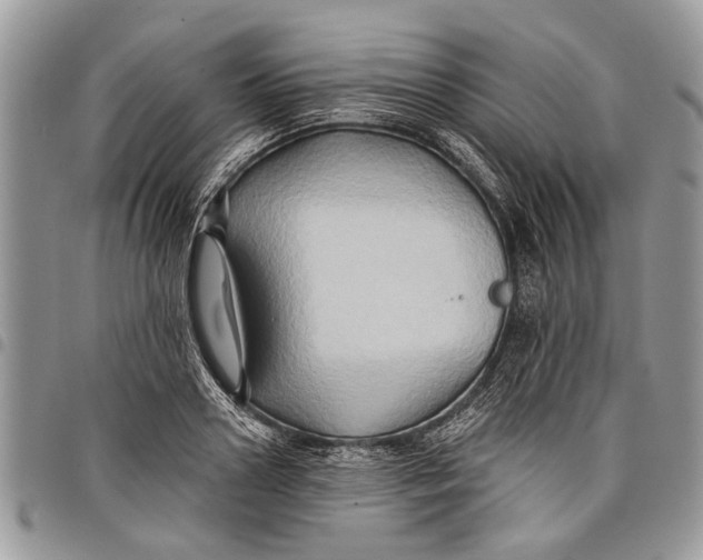 X0000097770938200803281637