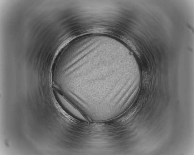 X0000097770939200803281637