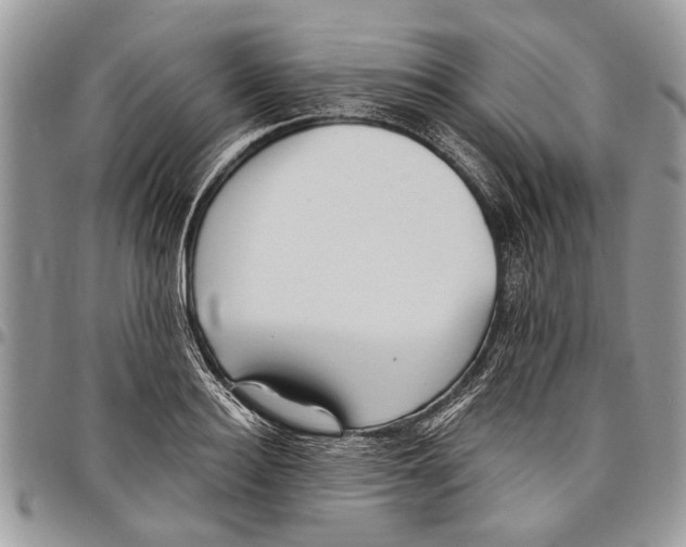 X0000097770940200803281637