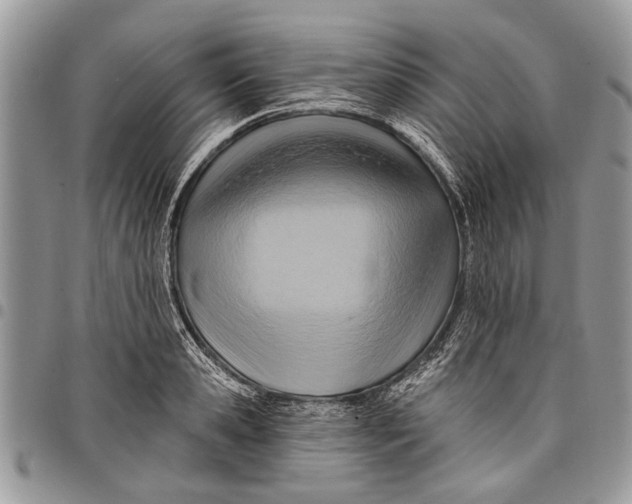 X0000097770941200803281637