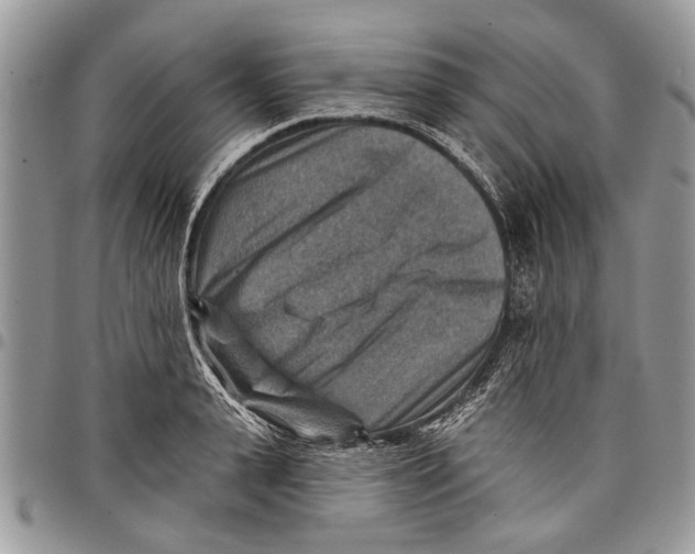 X0000097770943200803281637