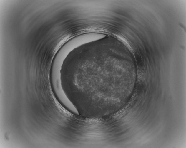 X0000097770946200803281637